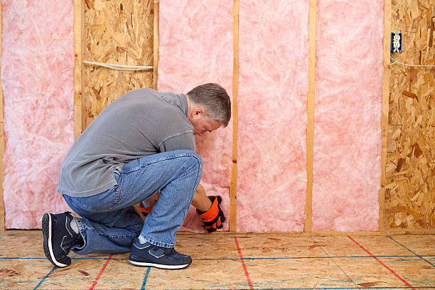 Best Energy Efficiency Solutions in Bethel Manor, VA